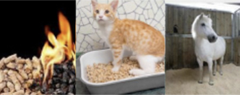 목재+커피찌꺼기 혼합 펠릿 조사업