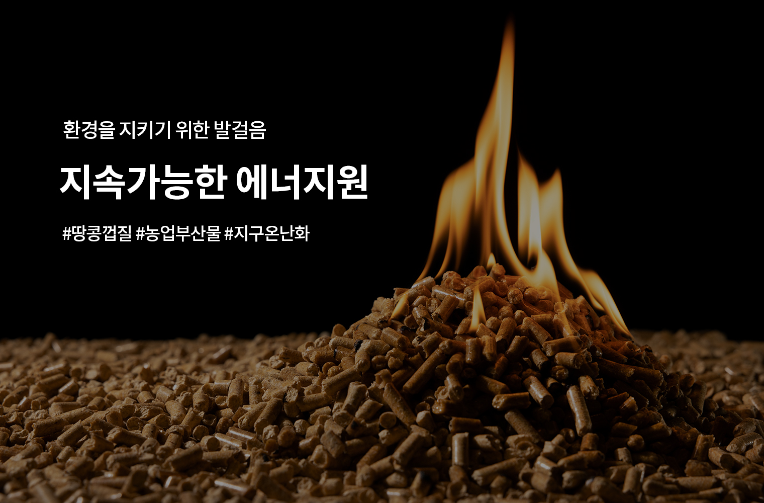 온실가스의 주범, 연료